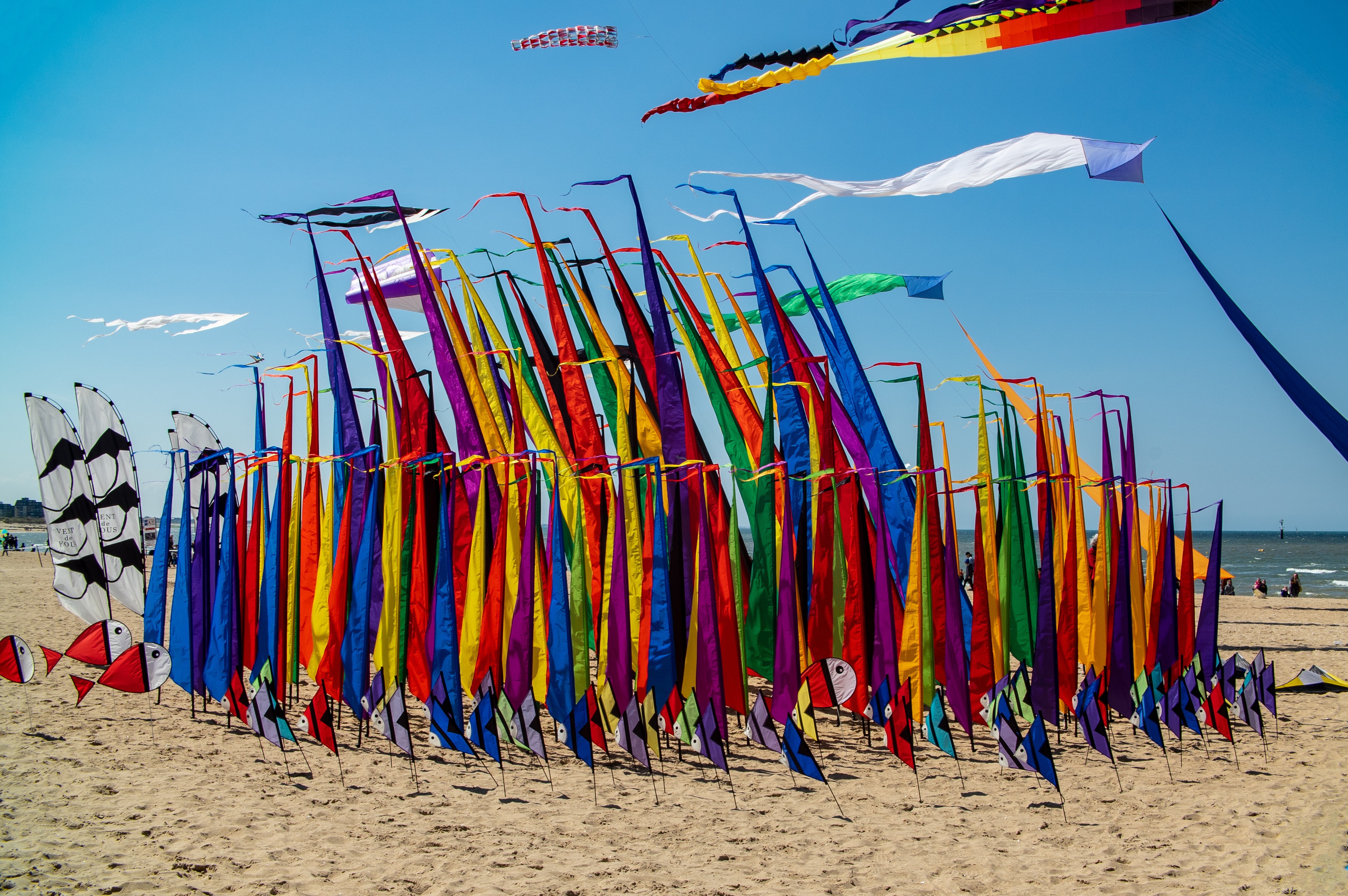 Kites on a beach